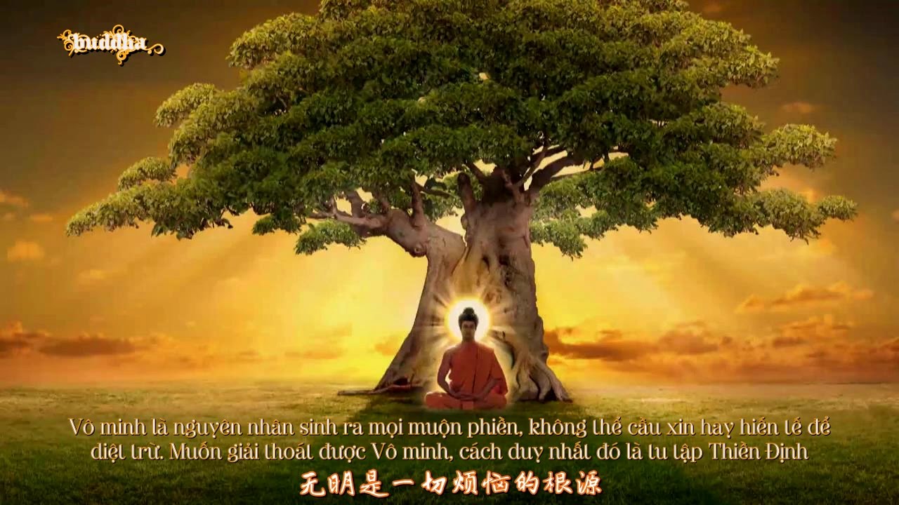 hình ảnh cuộc đời Đức Phật 0046