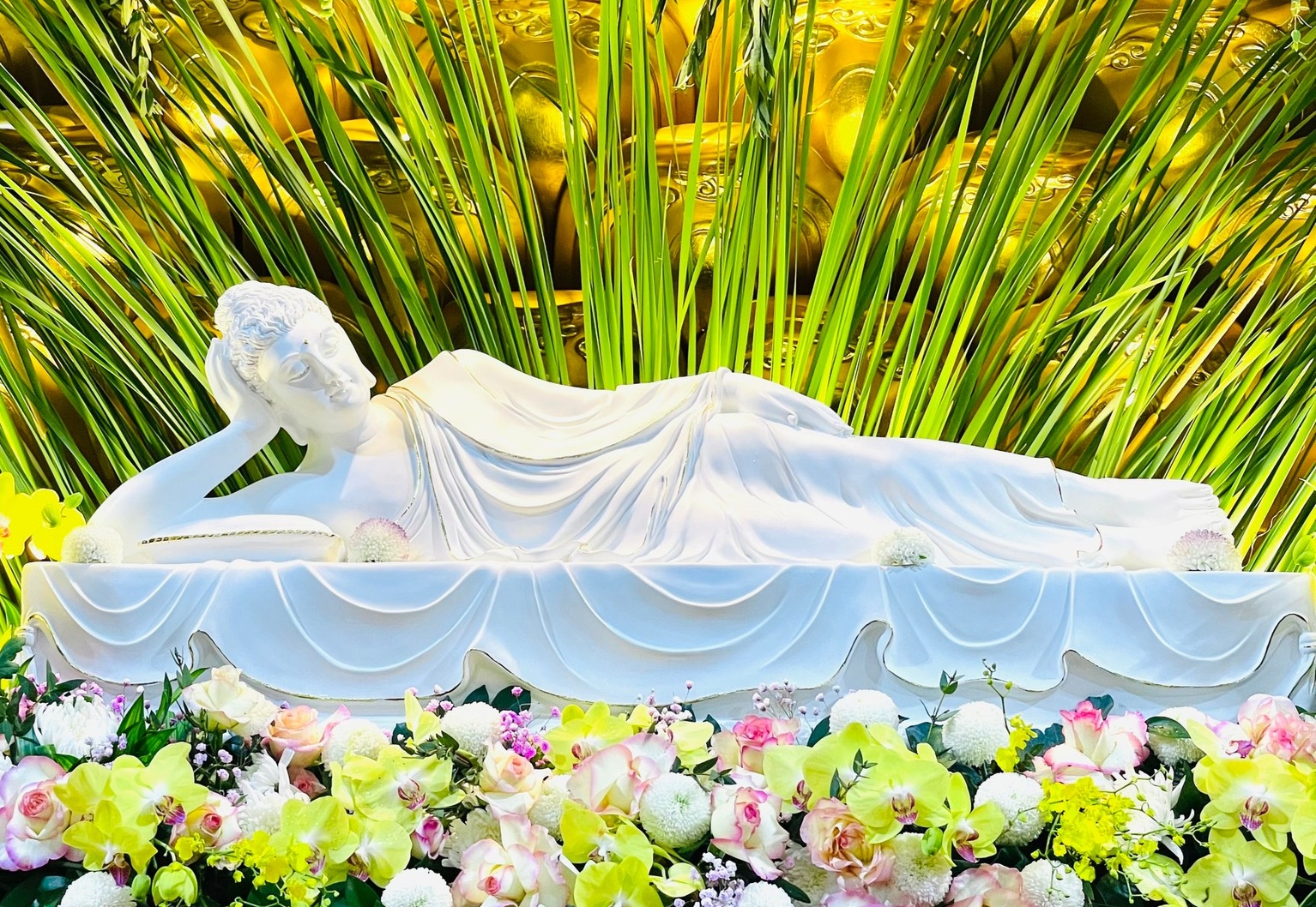 hình ảnh cuộc đời Đức Phật 0087