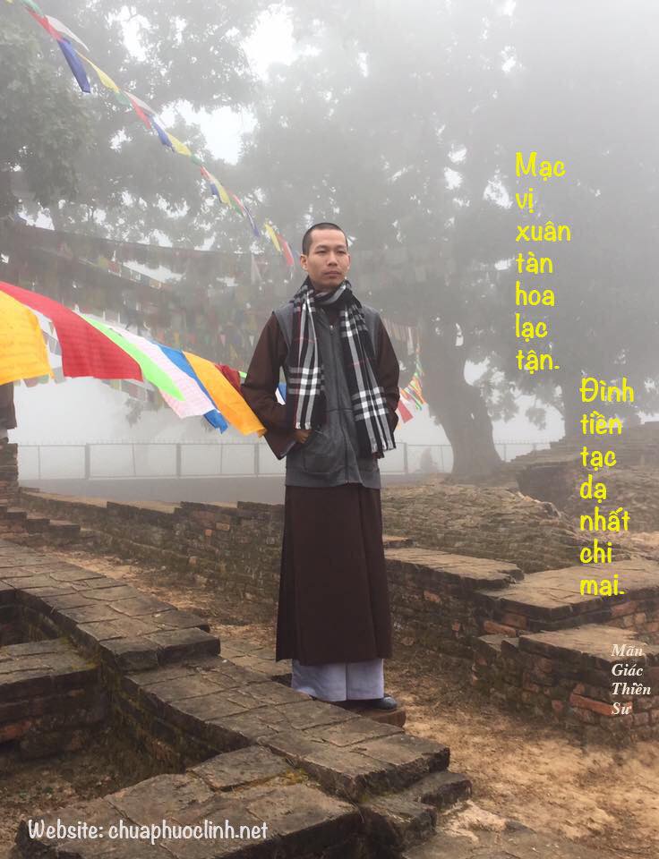 h&igrave;nh ảnh đi ch&ugrave;a lễ Phật 0045