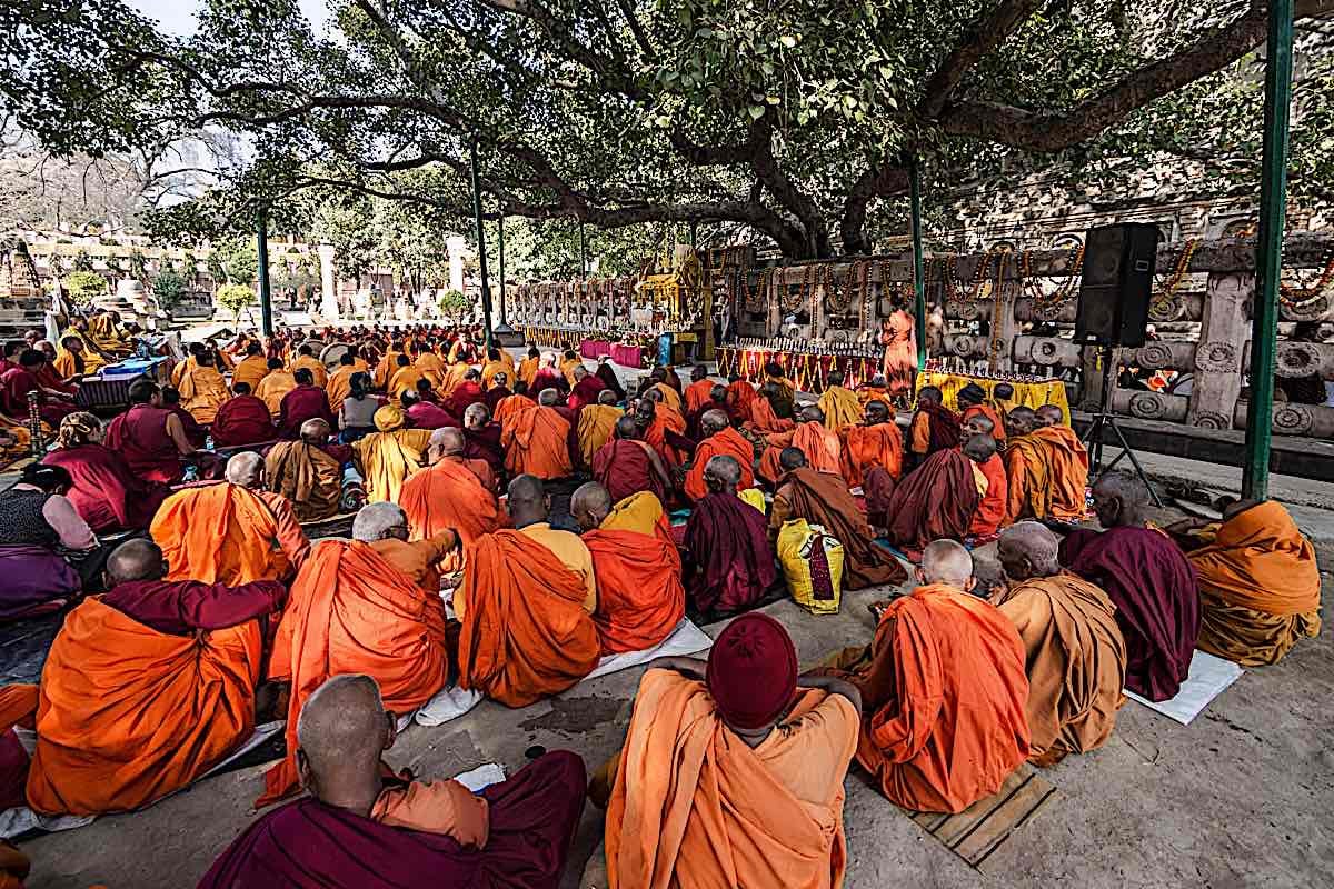h&igrave;nh ảnh l&aacute; Bồ Đề T&acirc;m Phật 0056