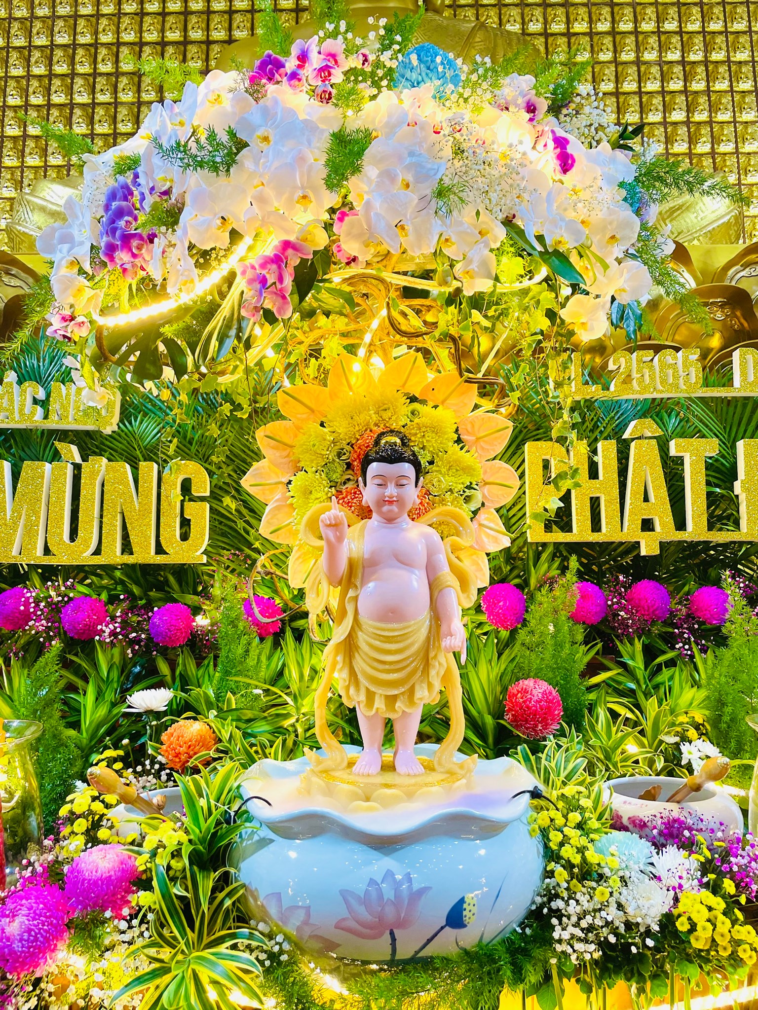 hình ảnh lễ Phật Đản 0025