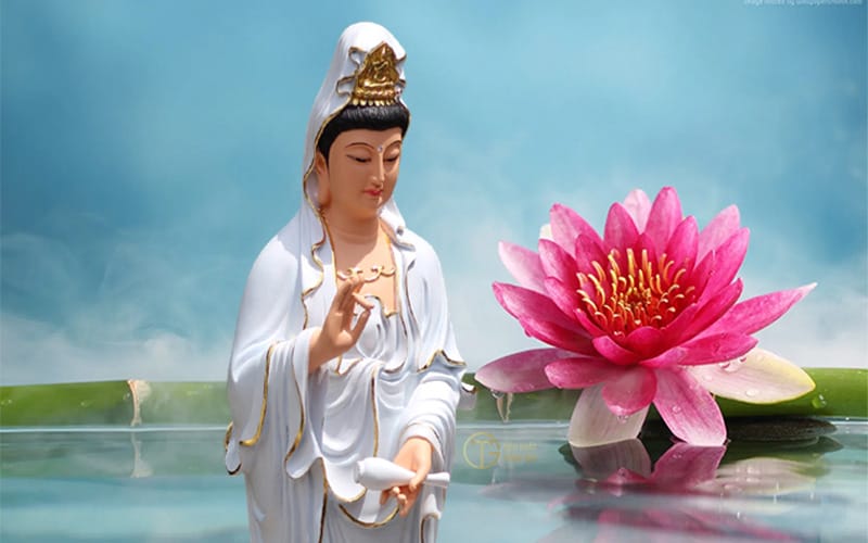 hình ảnh Phật Giáo Hòa Hảo 0082