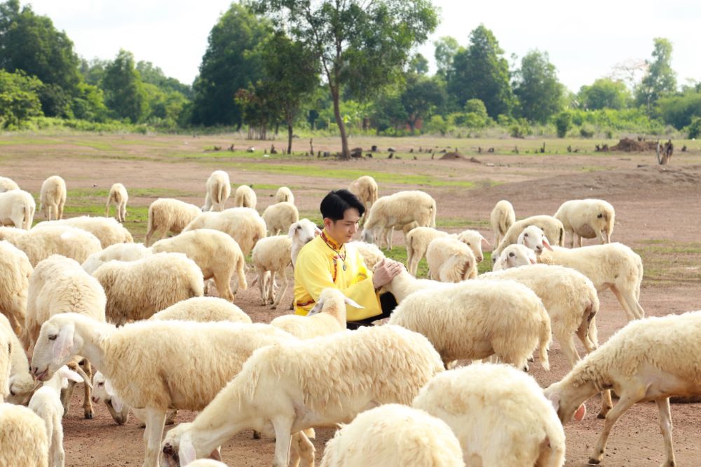 hình ảnh Phật Giáo Tây Tạng 0075