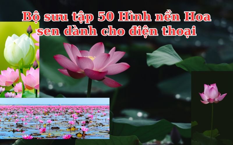 hinh-nen-galerie-michael