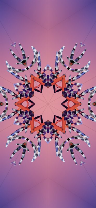hinh-nen-galerie-michael