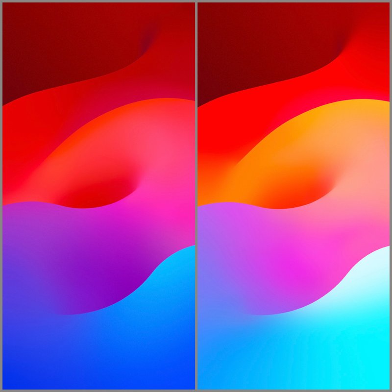hinh-nen-galerie-michael