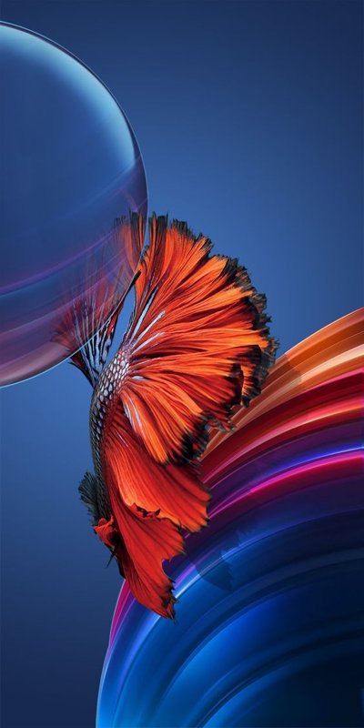 hinh-nen-galerie-michael