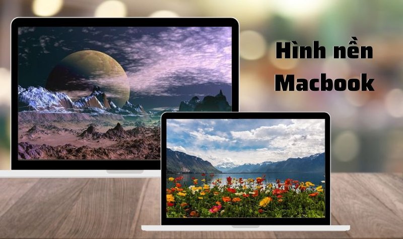 hinh-nen-galerie-michael