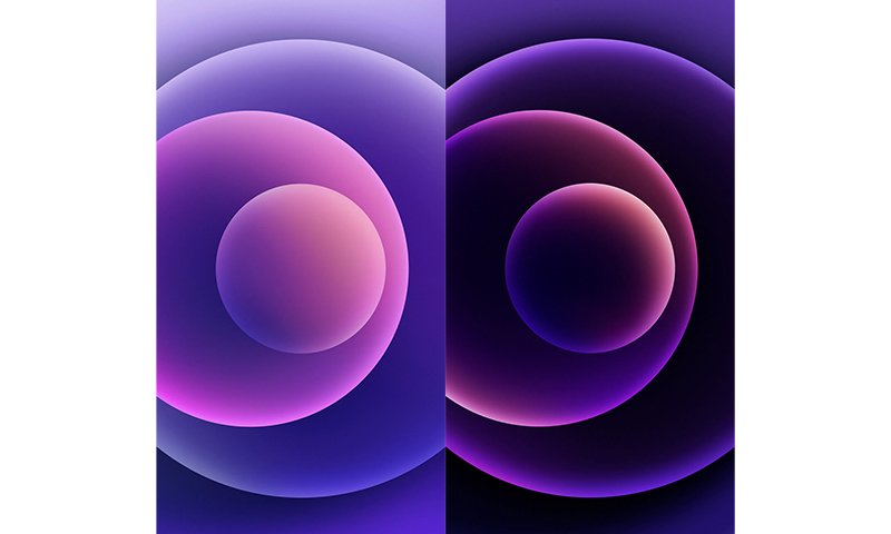 hinh-nen-galerie-michael
