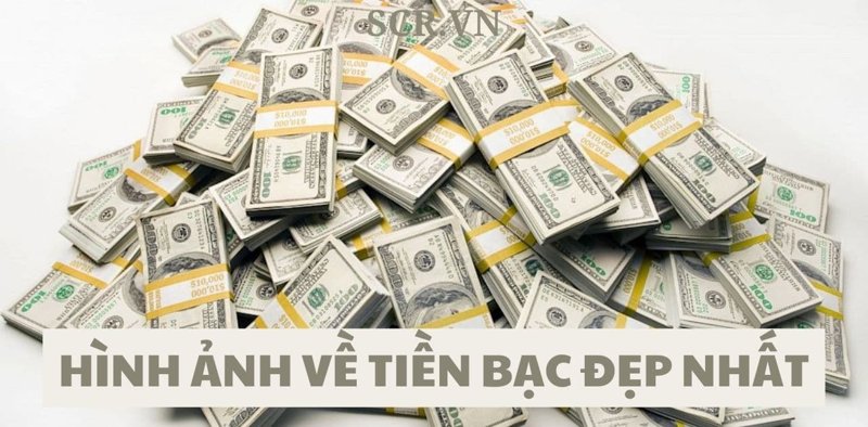 hinh-nen-galerie-michael