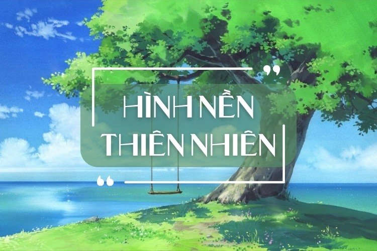hinh-nen-galerie-michael
