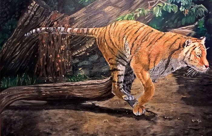 hinh-nen-galerie-michael