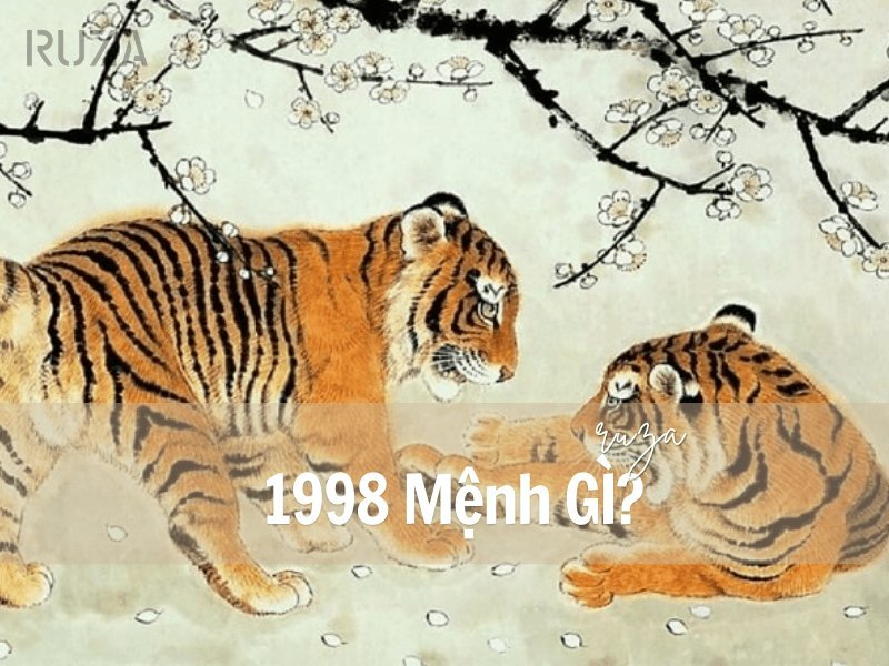 hinh-nen-galerie-michael