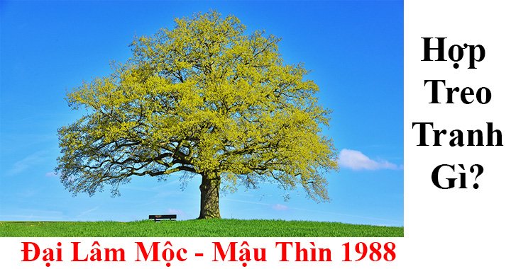 hinh-nen-galerie-michael