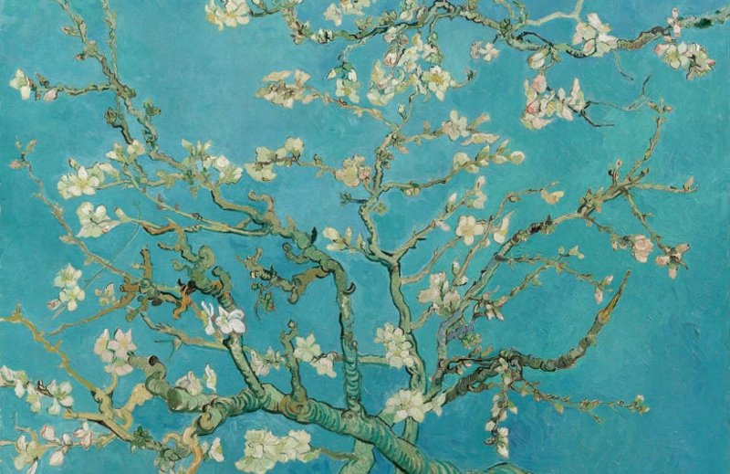 hinh-nen-galerie-michael