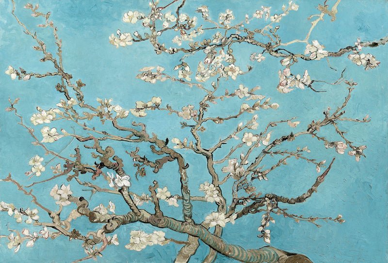 hinh-nen-galerie-michael