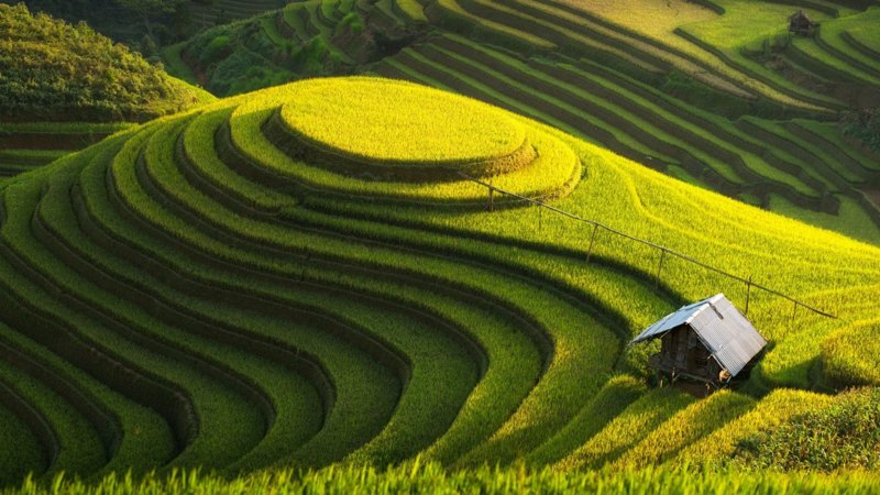 hinh-nen-galerie-michael
