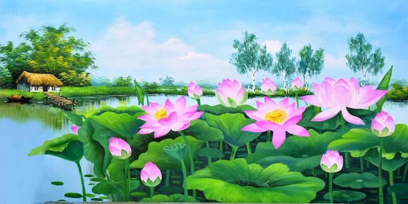 nhung buc tranh hoa sen dep nhat nhung buc tranh hoa sen dep nhat