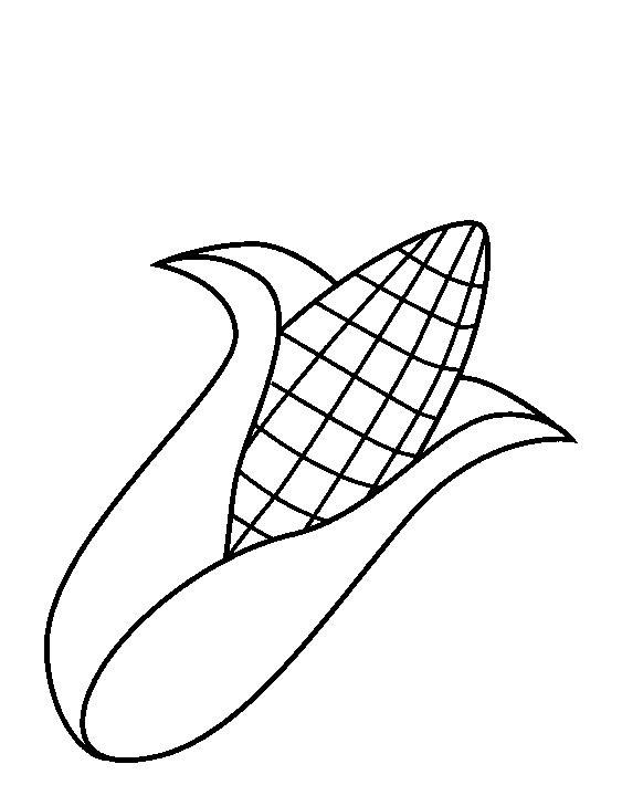 tranh to mau bap ngo.png