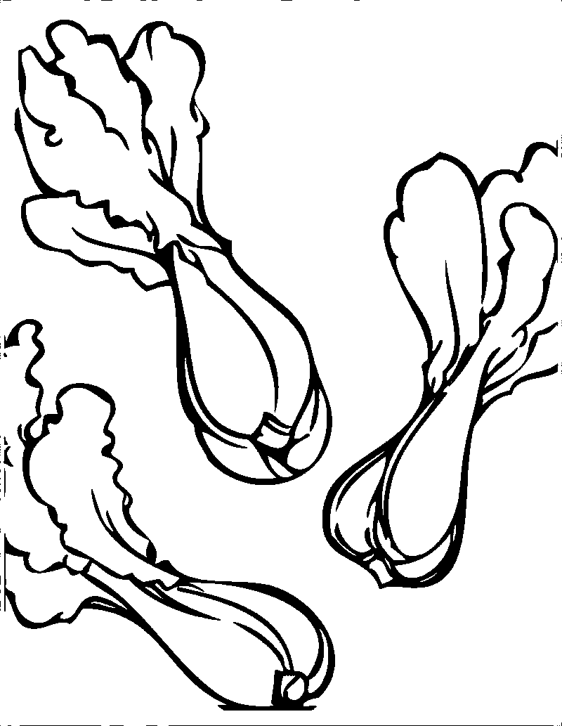 tranh to mau rau cai.png