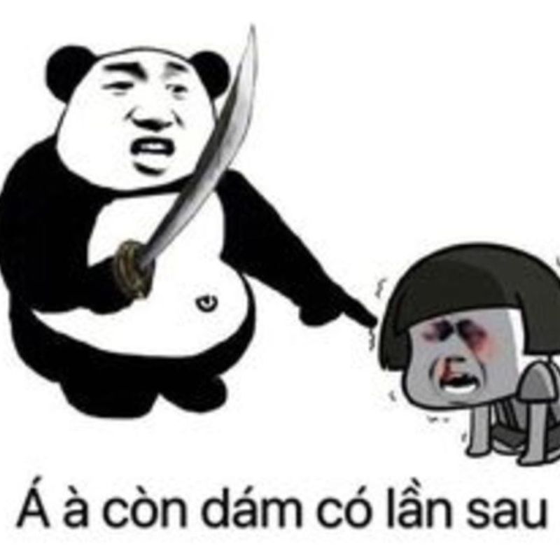 Sưu tầm bộ meme gấu trúc weibo cực vui nhộn, hài hước
