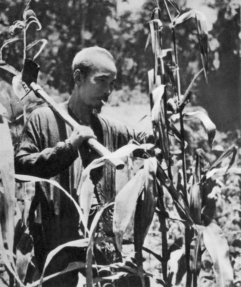 ảnh B&aacute;c Hồ