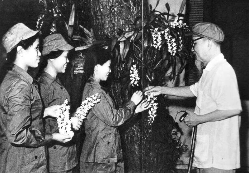 Ảnh B&aacute;c Hồ