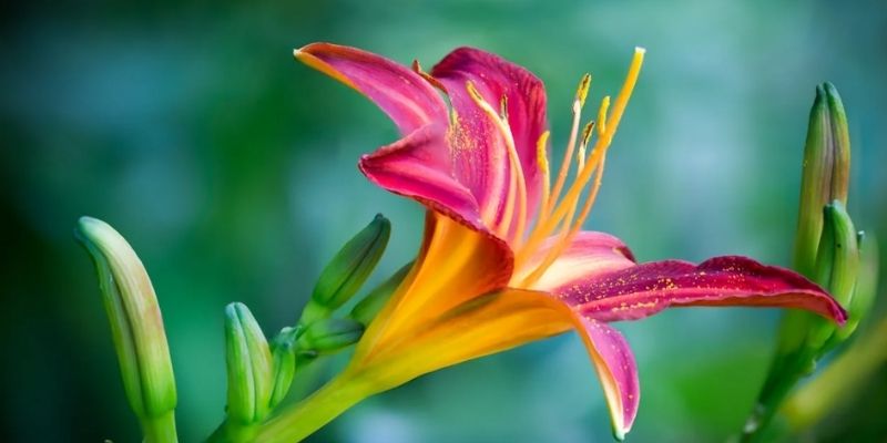 ảnh cảnh đẹp thiên nhiên