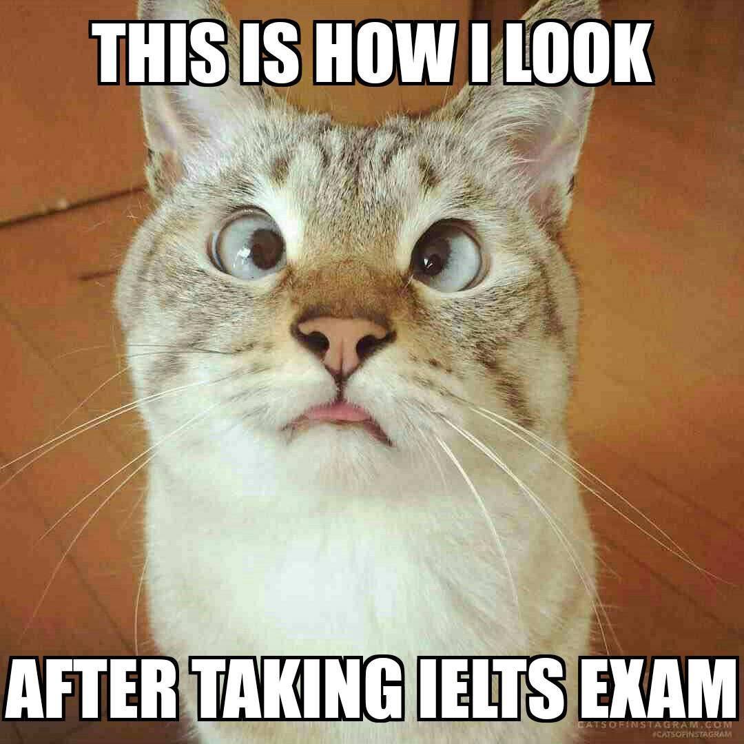 ảnh ch&acirc;m biếm IELTS