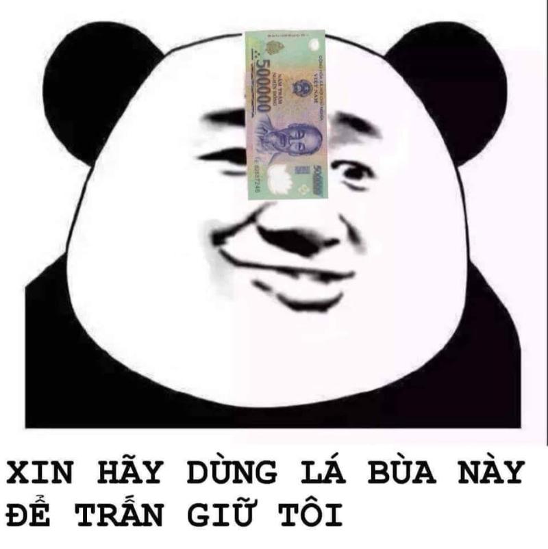 ảnh chế meme gấu tr&uacute;c
