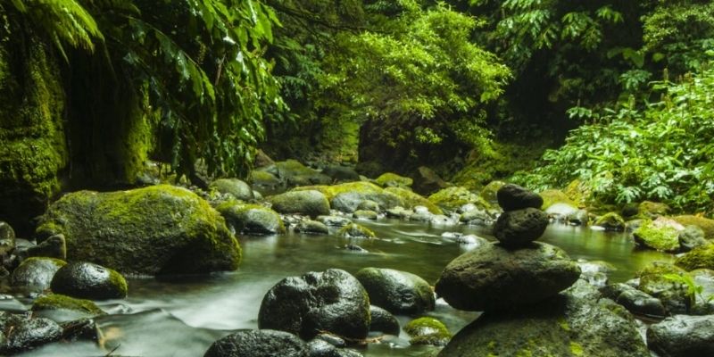 ảnh chill phong cảnh