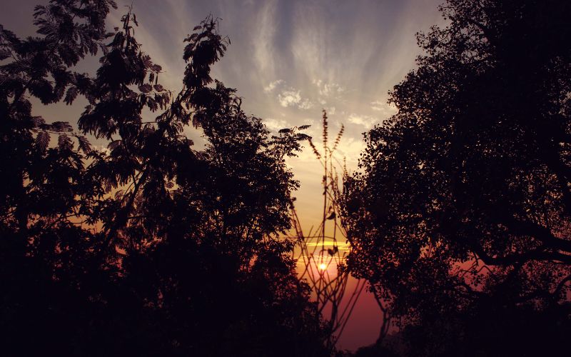 ảnh hoàng hôn 8