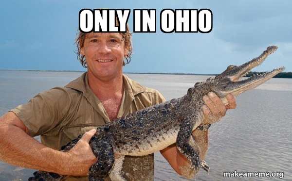 ảnh in Ohio meme