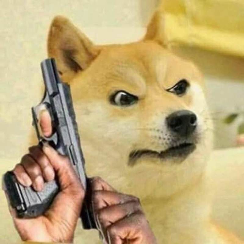 ảnh meme cầm s&uacute;ng