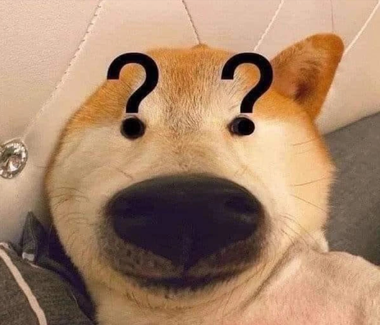 ảnh meme ch&oacute; 0047