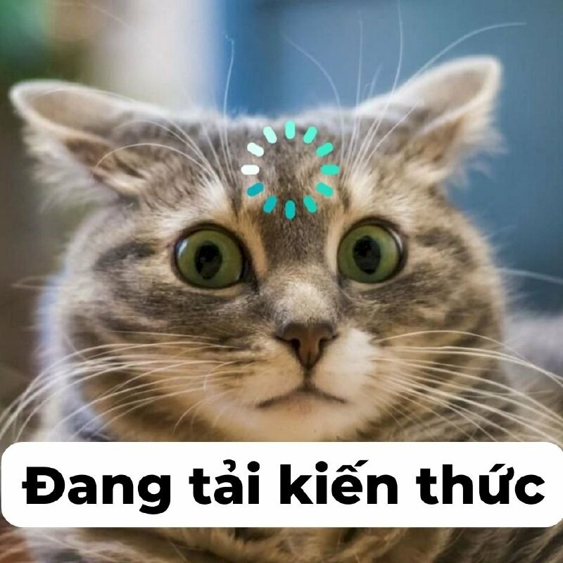 Thêm phần quyến rũ với ảnh meme có chữ – thể hiện cá tính độc đáo