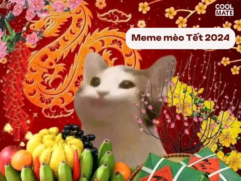 Màn hình sinh động hơn với 99+ meme Tết sáng tạo gây bão cộng đồng game thủ