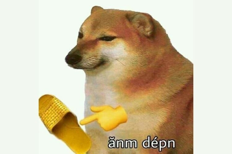 ảnh m&oacute;n ăn meme ch&oacute;