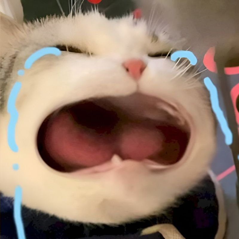 bộ h&igrave;nh nền meme m&egrave;o buồn