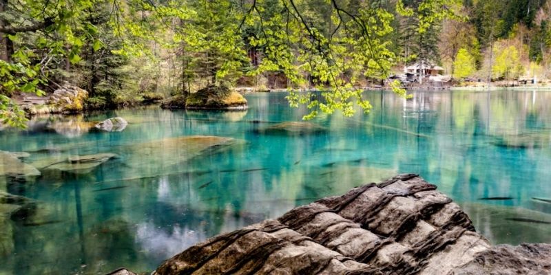 bộ sưu tập hình ảnh tự nhiên