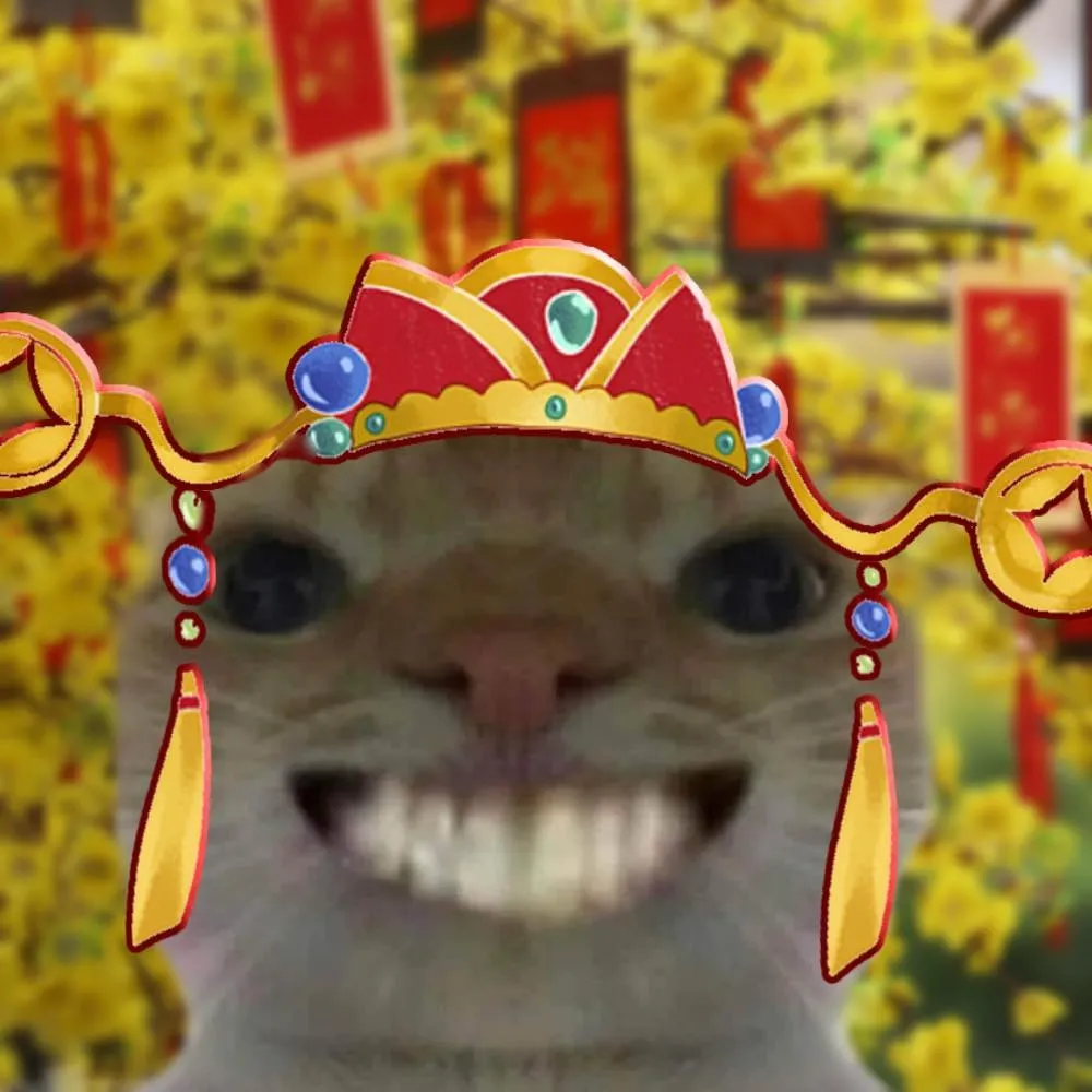 Đầy tinh tế với mèo meme tết – khám phá những khoảnh khắc thú vị trong ngày tết