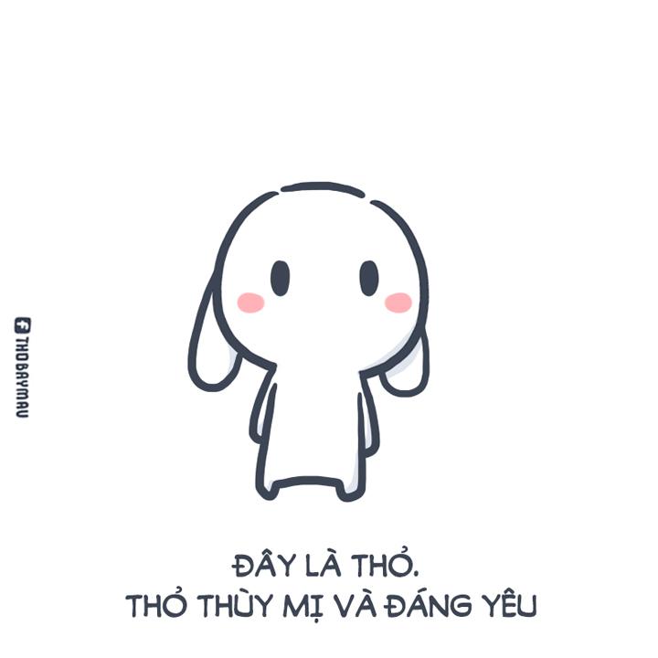 bộ sưu tập thỏ bảy m&agrave;u meme