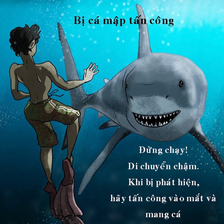 c&aacute; mập meme b&aacute; đạo