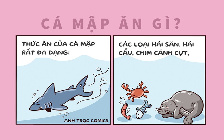 c&aacute; mập meme 0045