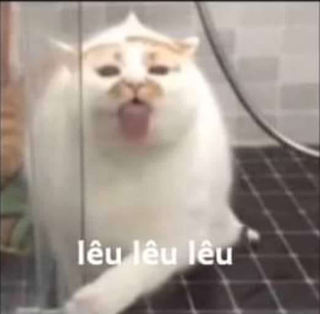 Meme lêu lêu – đắm mình trong những khoảnh khắc hài hước cuốn hút!