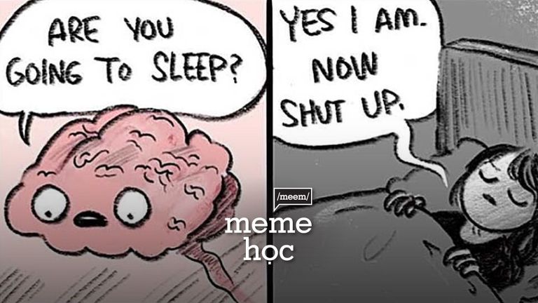 c&aacute;ch tạo meme mất ngủ