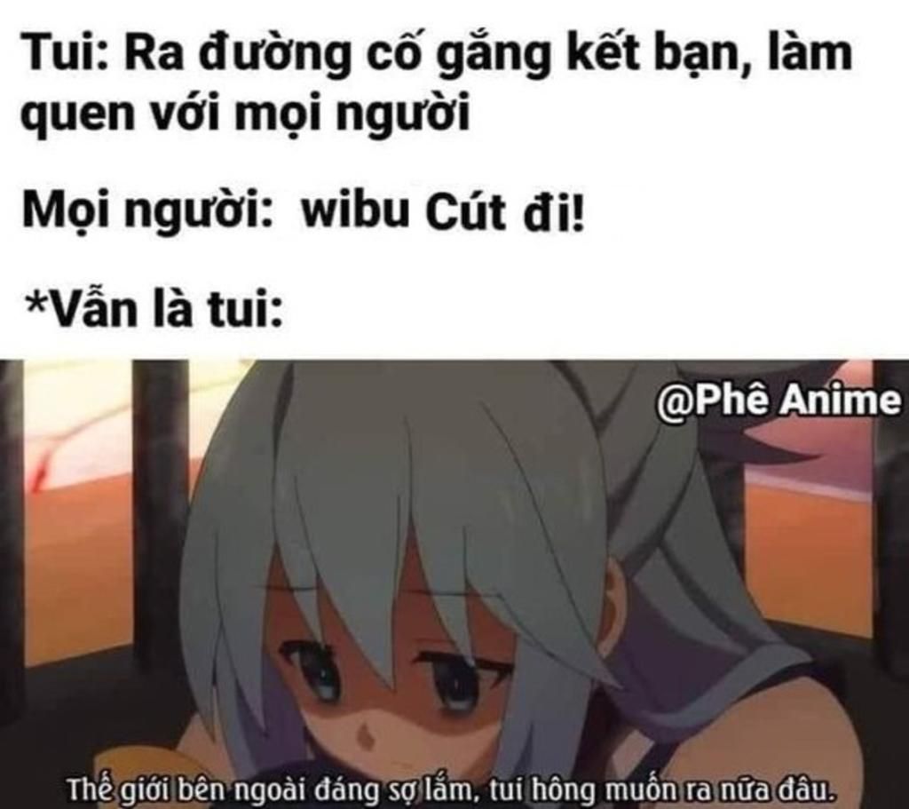 c&uacute;t meme 0028