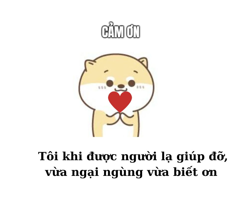 đội ơn meme g&acirc;y cười