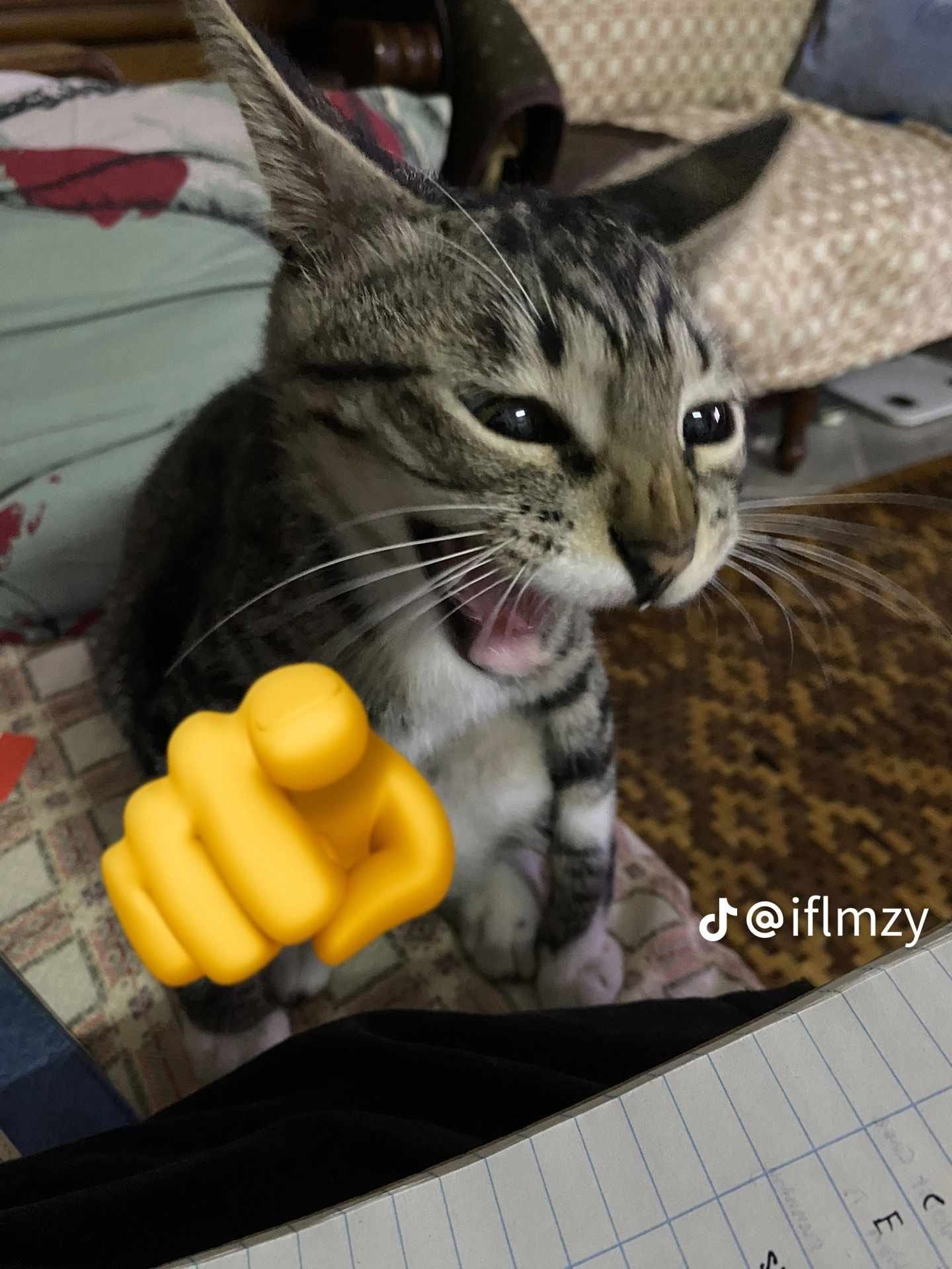 h&aacute; mồm meme m&egrave;o cười 0037