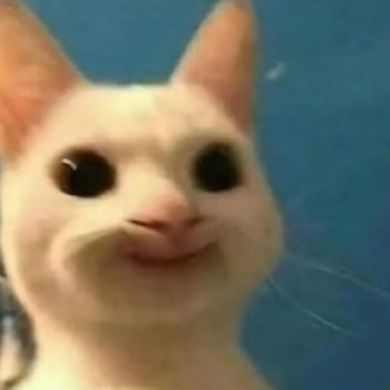 h&aacute; mồm meme m&egrave;o